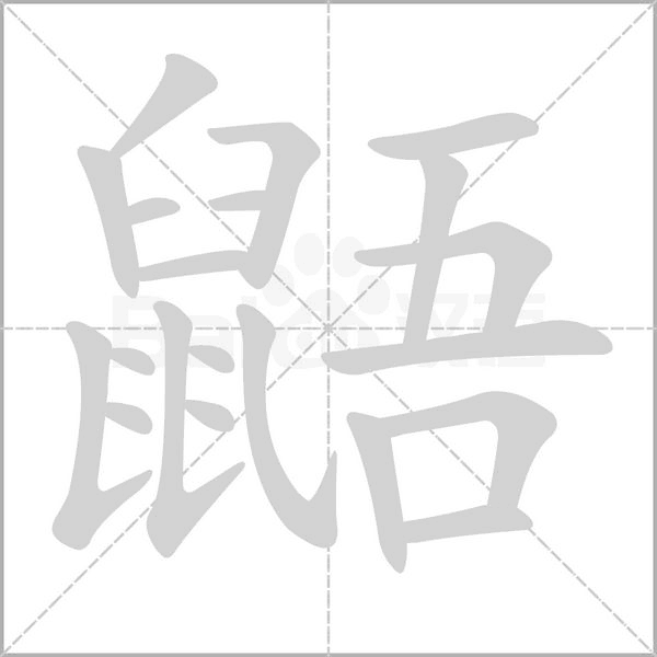 鼯字笔顺