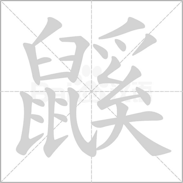 鼷字笔顺