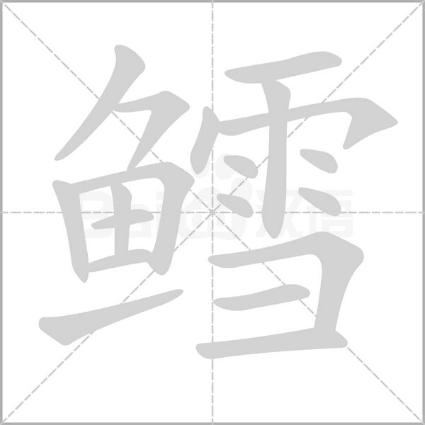 鳕字笔顺