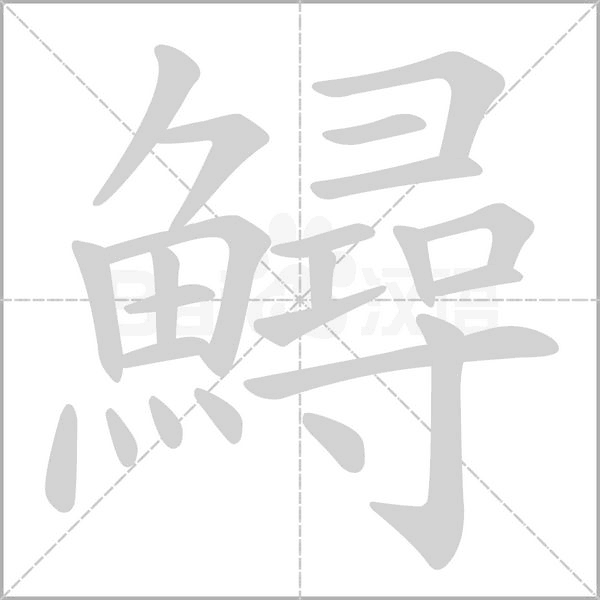 鱘字笔顺
