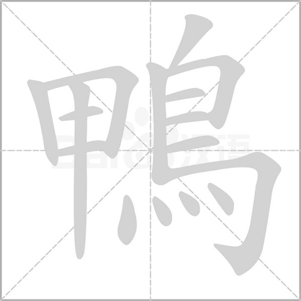 鴨字笔顺