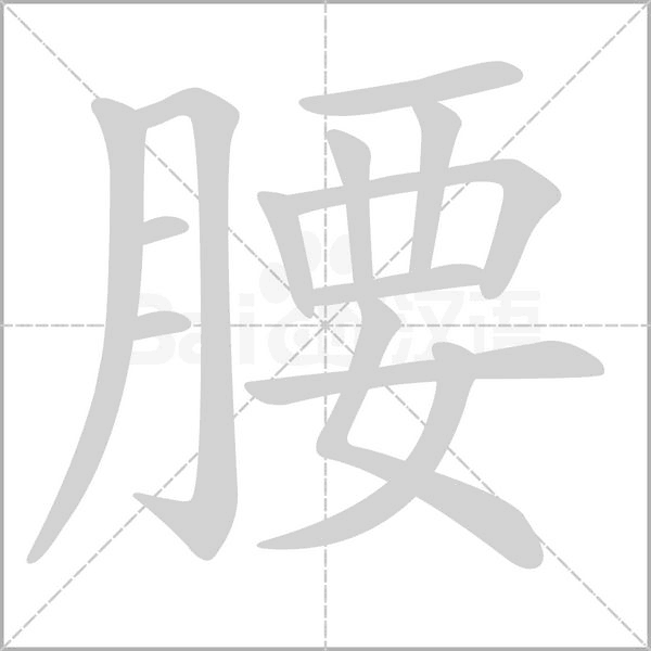 腰字笔顺