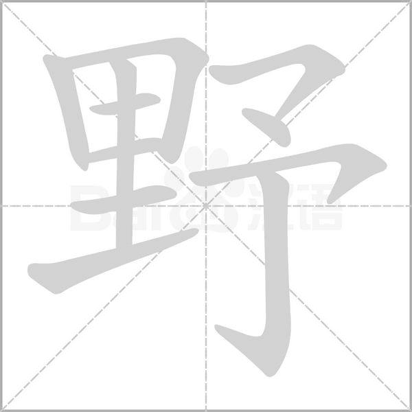 野字笔顺