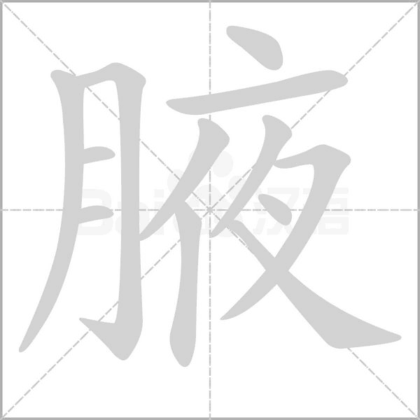 腋字笔顺
