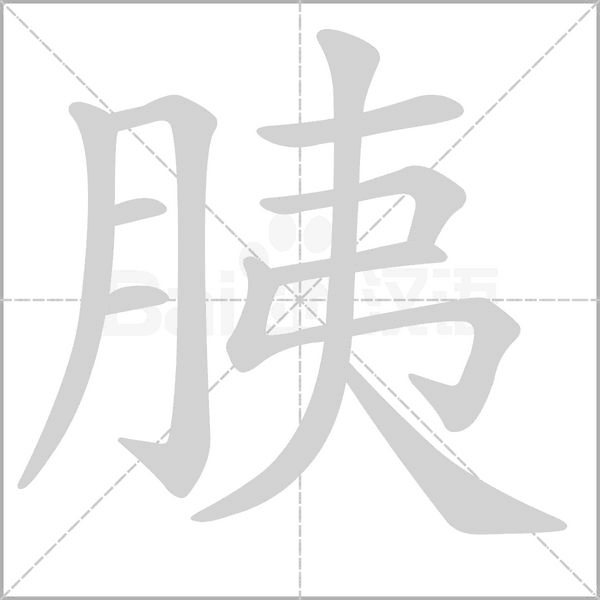 胰字笔顺