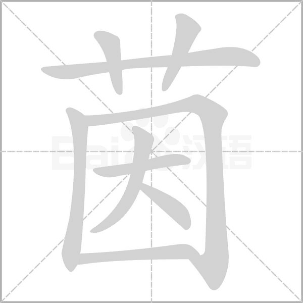 茵字笔顺