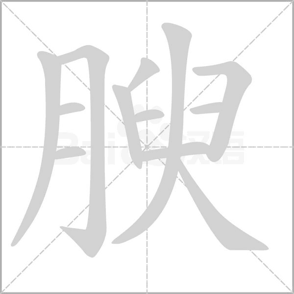 腴字笔顺