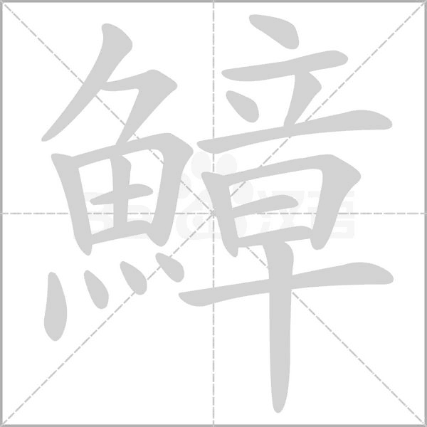 鱆字笔顺
