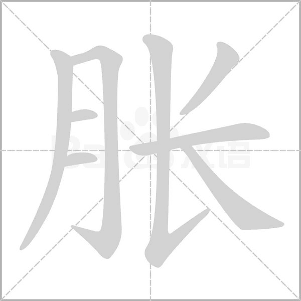 胀字笔顺