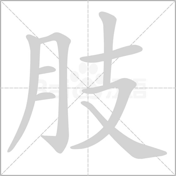 肢字笔顺