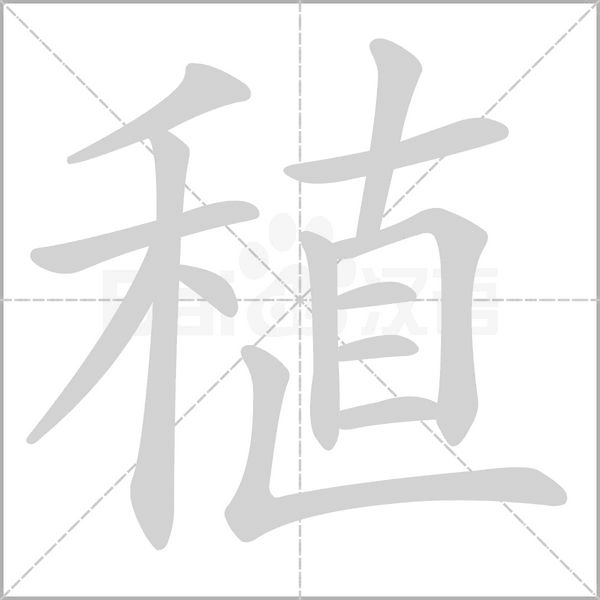 稙字笔顺