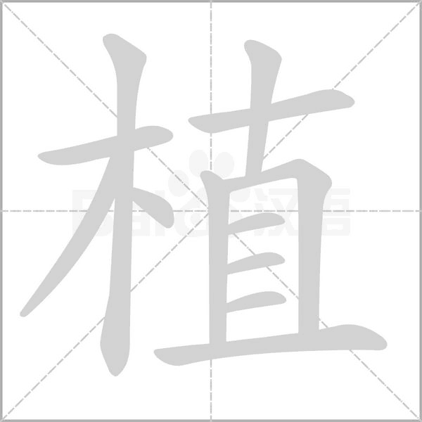 植字笔顺