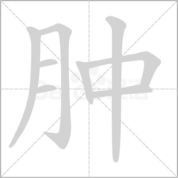肿字笔顺