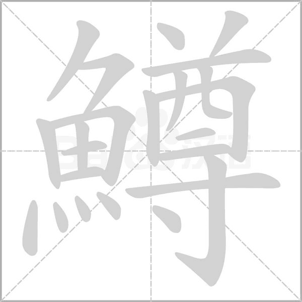 鱒字笔顺
