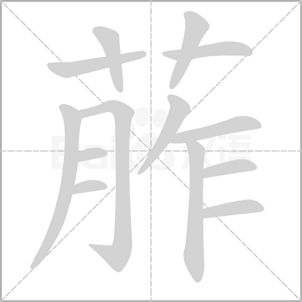 葄字笔顺