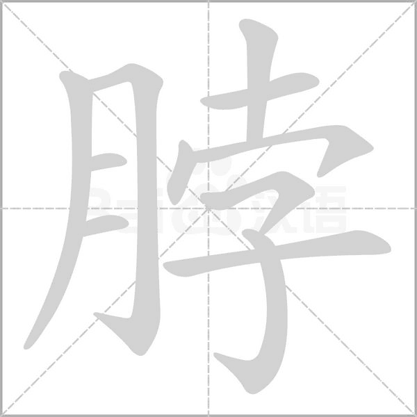 脖字笔顺