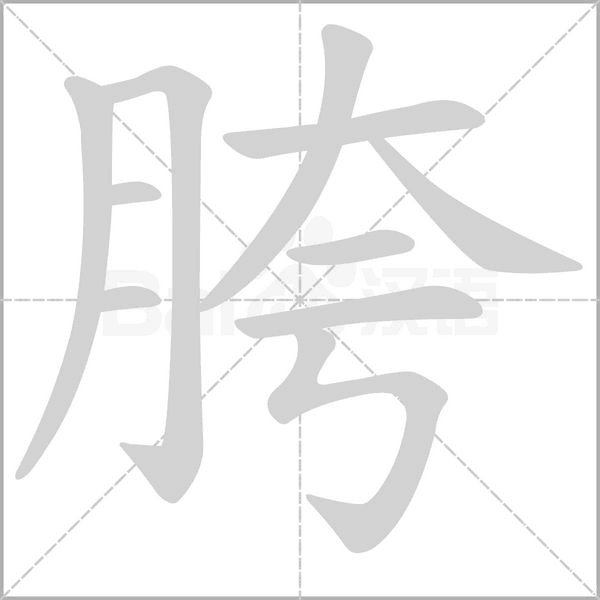 胯字笔顺