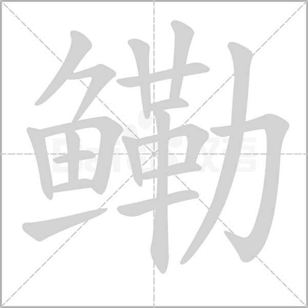 鳓字笔顺