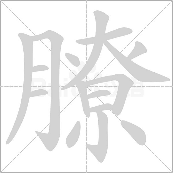 膫字笔顺
