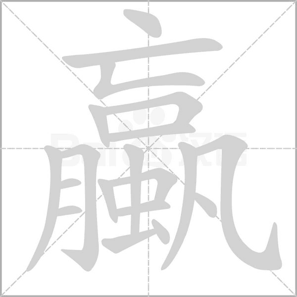 蠃字笔顺