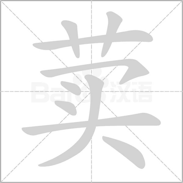 荬字笔顺