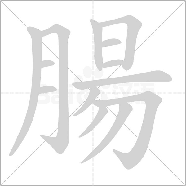 腸字笔顺
