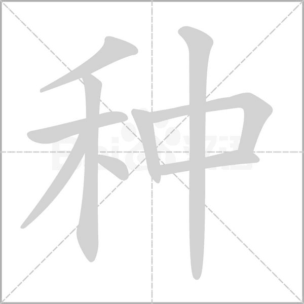 种字笔顺