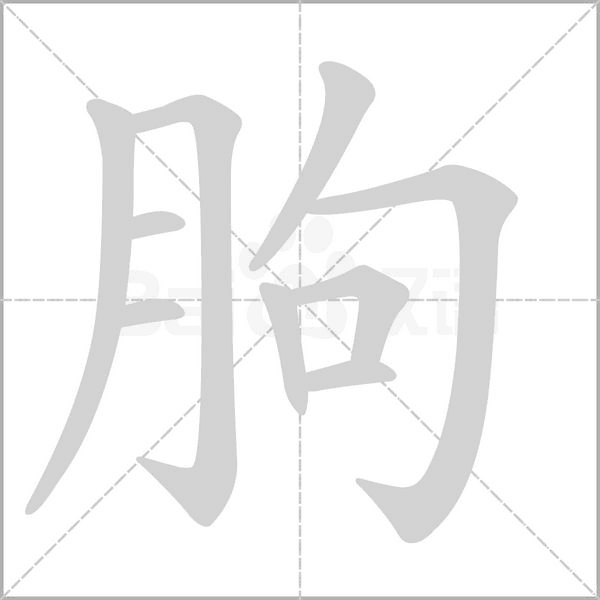 朐字笔顺