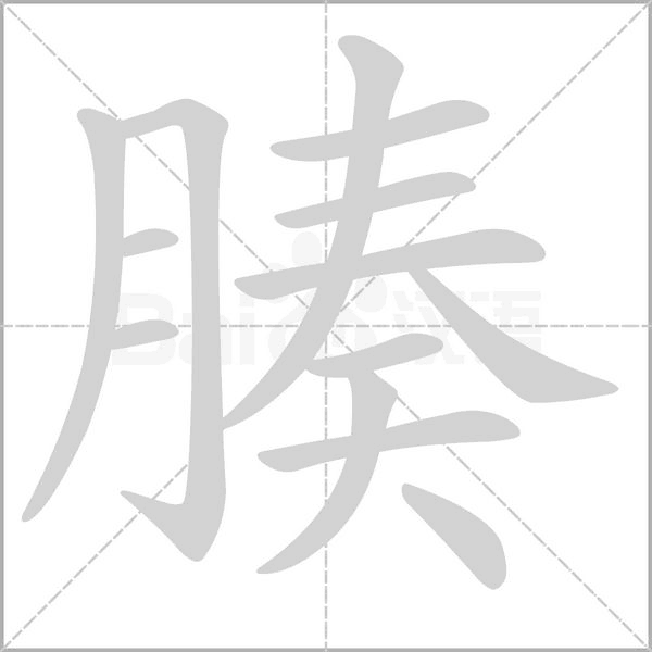 腠字笔顺