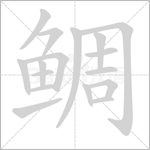 鲷字笔顺