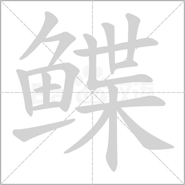 鲽字笔顺