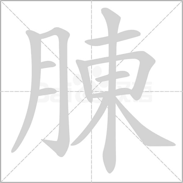 腖字笔顺