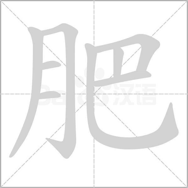 肥字笔顺