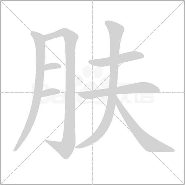 肤字笔顺