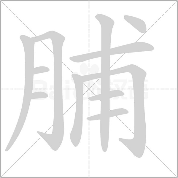 脯字笔顺