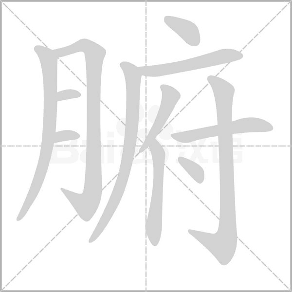 腑字笔顺