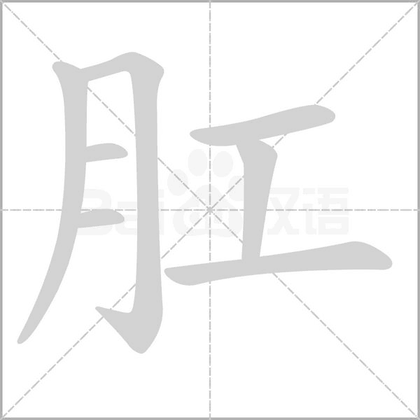 肛字笔顺