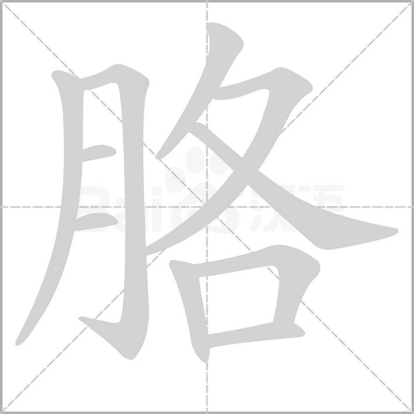 胳字笔顺