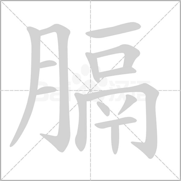 膈字笔顺