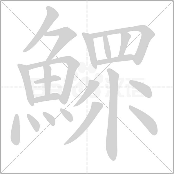 鰥字笔顺