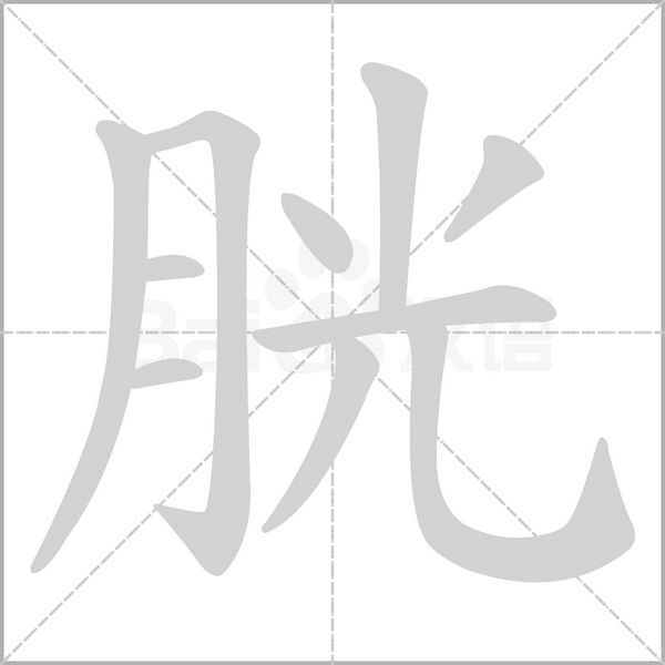 胱字笔顺