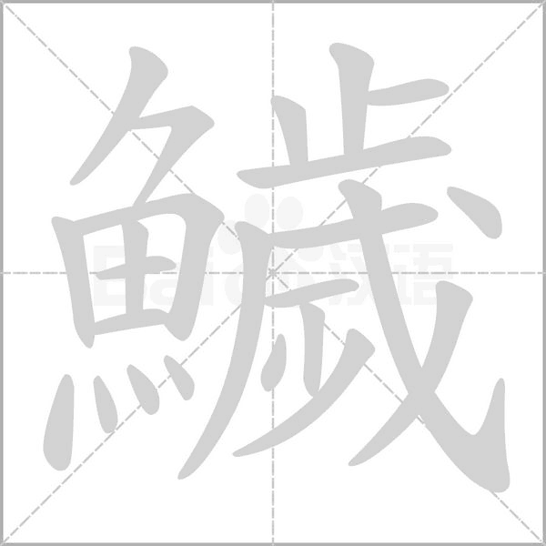 鱥字笔顺