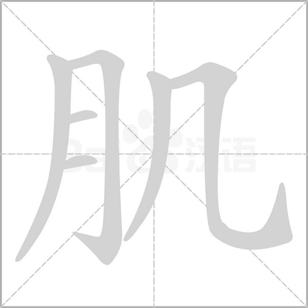 肌字笔顺
