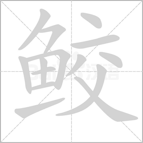 鲛字笔顺