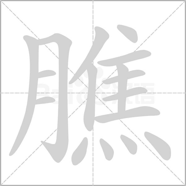 膲字笔顺