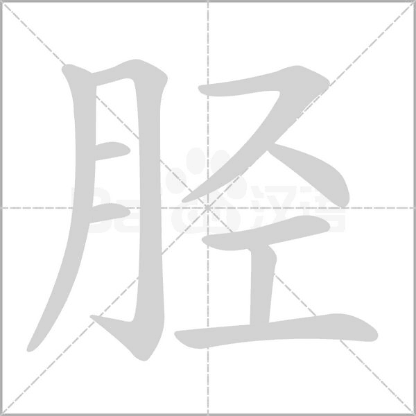 胫字笔顺