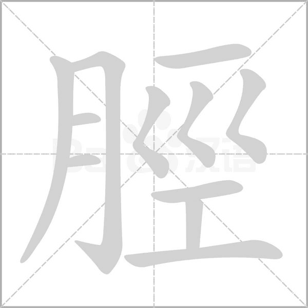 脛字笔顺