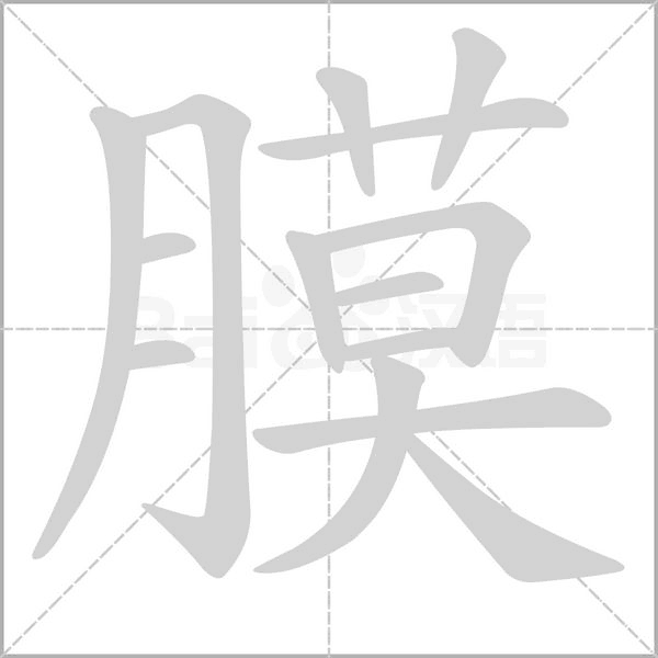 膜字笔顺