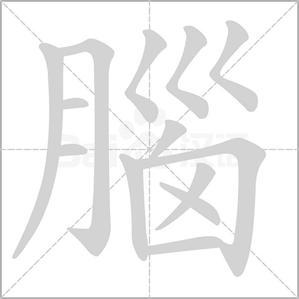 腦字笔顺