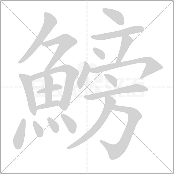 鰟字笔顺